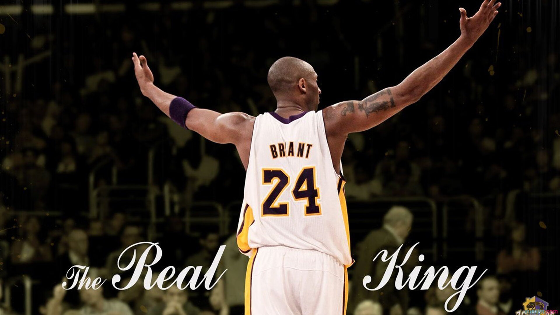 世界杯：多个国家主教练对社交媒体持保留态度 建议球员赛期少看评论